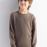 Boys' 100% Merino Wool Seamless Crewneck Sweater