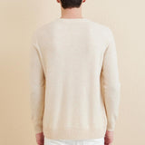 Chanyarn Men's 100% Merino Wool Sweater 2025 Fall Winter Casual Crewneck Warm Soft Long Sleeve Knitted Sweater
