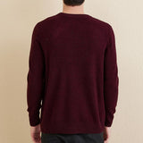 Chanyarn Men's 100% Merino Wool Sweater 2025 Fall Winter Casual Crewneck Warm Soft Long Sleeve Knitted Sweater