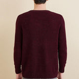 Chanyarn Men's 100% Merino Wool Sweater 2025 Fall Winter Casual V Neck Warm Soft Long Sleeve Knitted Pullover Sweater