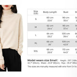Chanyarn Women's 100% Merino Wool 2025 First-Line Ready to Wear Seamless Knit Turtleneck Pullover Fall Winter Sweater