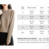 Chanyarn Women's Crew Neck 100% Merino Wool Sweater 2025 Otoño Invierno Clásico Vintage Cable Vintage Cálido de manga larga Sétera de manga larga