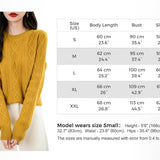 Suéter de lana 100% merino de chanyarn femenino 2025 otoño invierno Básico Básico Cable de manga larga Cabina de manga larga Sétero de cable de punto