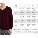 Chanyarn Men's 100% Merino Wool Sweater 2025 Fall Winter Casual V Neck Warm Soft Long Sleeve Knitted Pullover Sweater