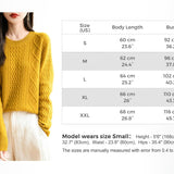 Chanyarn Women's Crew Neck 100% Merino Wool Sweater 2025 Otoño Invierno Cable Cable de manga larga suave suave suéter de manga larga
