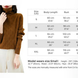 Chanyarn femenino suéter de lana 100% merino 2025 otoño invierno tortuga sólida de manga larga jersey de manga de manga larga