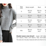 Chanyarn Women's 100% Merino Wool Sweater 2024 Fall Winter Turtleneck Warm Soft Casual Long Sleeve Knitted Sweater